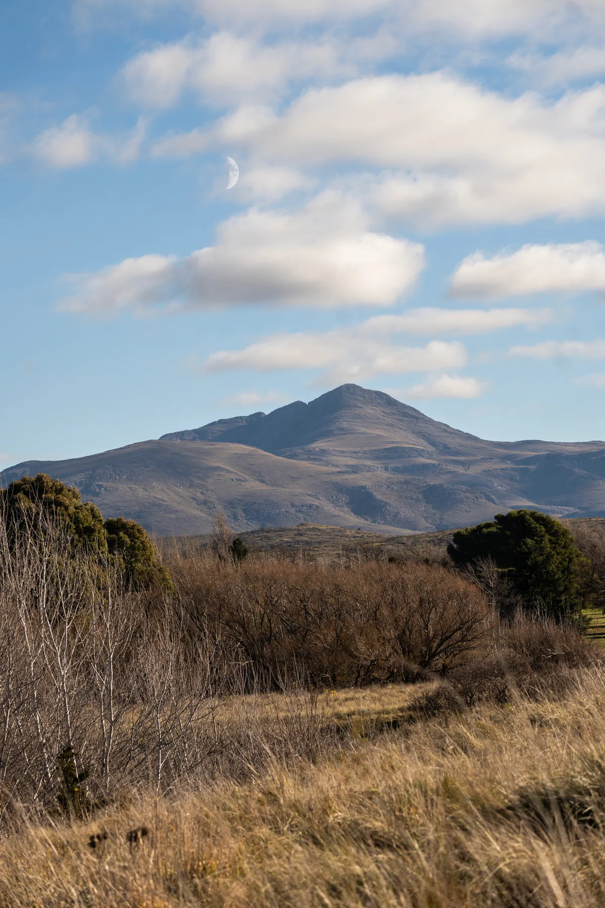 Cerro Tres Picos